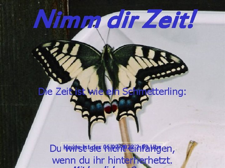 Nimm dir Zeit! Die Zeit ist wie ein Schmetterling: der 05/02/2022 2: 09 Uhr