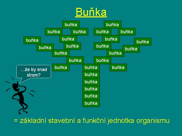 Buňka buňka buňka buňka buňka …že by snad strom? buňka buňka buňka = základní