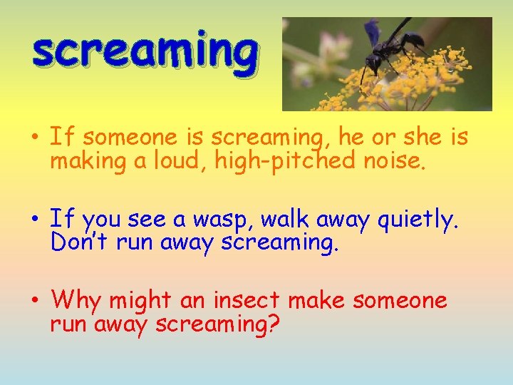 Screaming Insect Vocabulary Intro insects Insects are very small animals