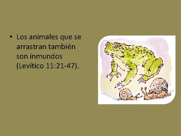  • Los animales que se arrastran también son inmundos (Levítico 11: 21 -47).