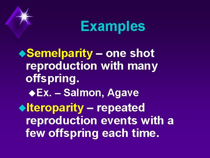 Examples u. Semelparity – one shot reproduction with many offspring. u. Ex. – Salmon,