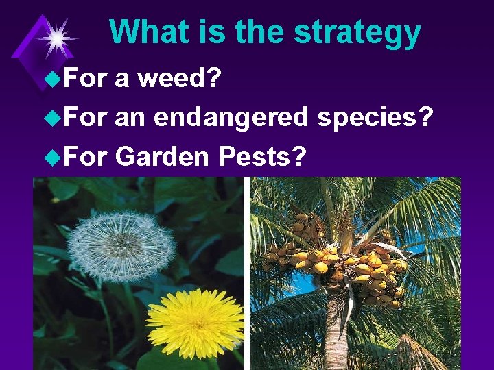 What is the strategy u. For a weed? u. For an endangered species? u.