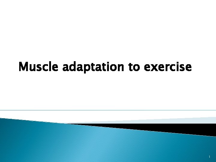 Muscle adaptation to exercise 1 