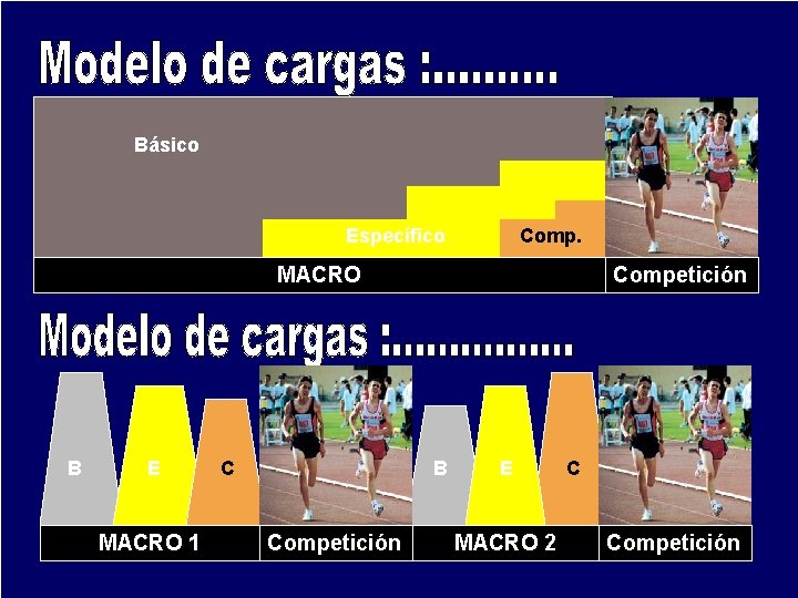 Básico Específico Comp. MACRO B E MACRO 1 C Competición B Competición E MACRO