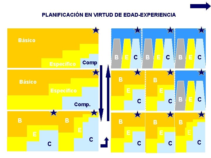 PLANIFICACIÓN EN VIRTUD DE EDAD-EXPERIENCIA Básico Comp Específico B E C B Básico B