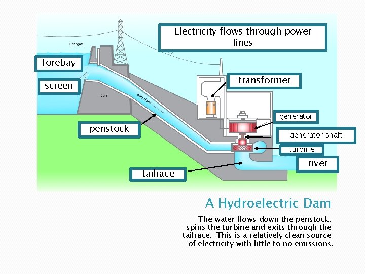 Electricity flows through power lines forebay transformer screen generator penstock generator shaft turbine tailrace