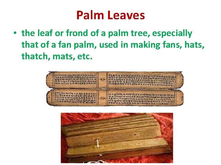 Palm Leaves • the leaf or frond of a palm tree, especially that of