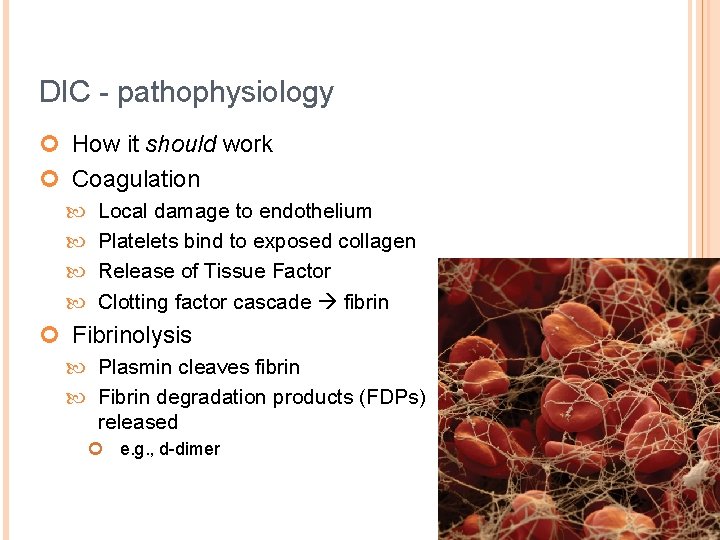 DIC - pathophysiology ¢ How it should work ¢ Coagulation Local damage to endothelium