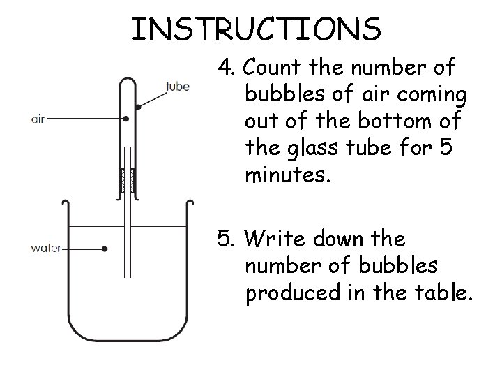 INSTRUCTIONS 4. Count the number of bubbles of air coming out of the bottom