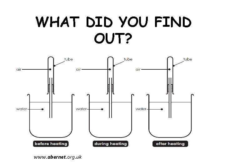 WHAT DID YOU FIND OUT? www. abernet. org. uk 