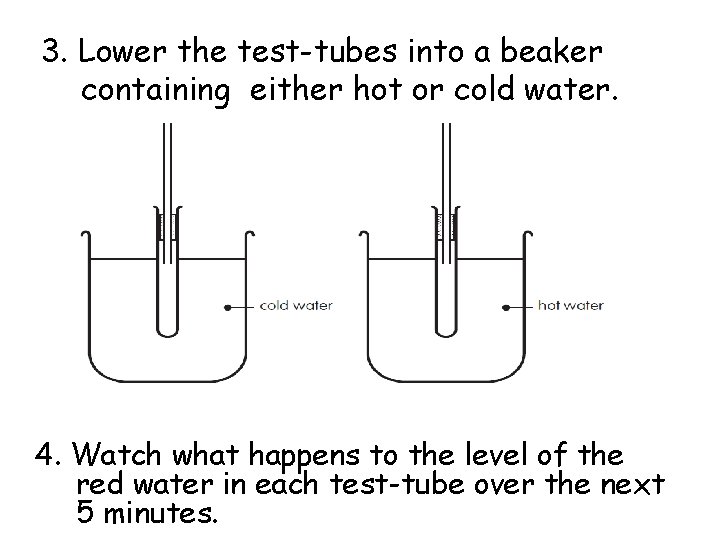 3. Lower the test-tubes into a beaker containing either hot or cold water. 4.