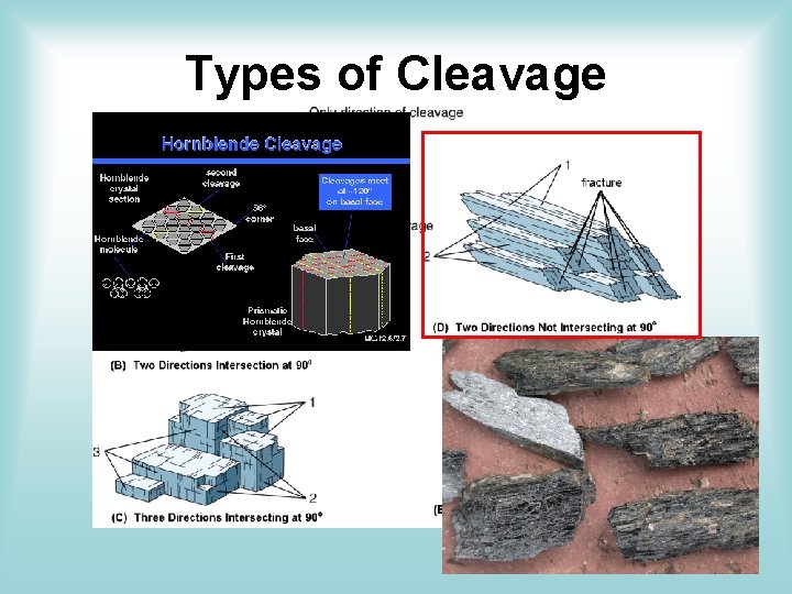 Types of Cleavage Types of Cleavage