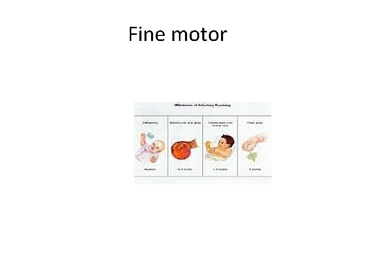 Fine motor 