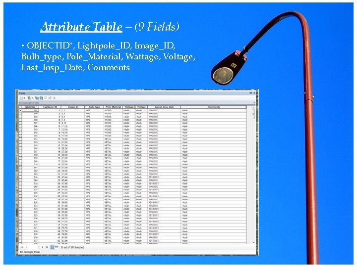 Attribute Table – (9 Fields) • OBJECTID*, Lightpole_ID, Image_ID, Bulb_type, Pole_Material, Wattage, Voltage, Last_Insp_Date,
