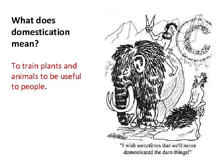 What does domestication mean? To train plants and animals to be useful to people. What does domestication mean? To train plants and animals to be useful to people.
