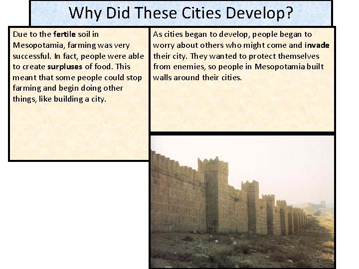 Why Did These Cities Develop? Due to the fertile soil in Mesopotamia, farming was Why Did These Cities Develop? Due to the fertile soil in Mesopotamia, farming was