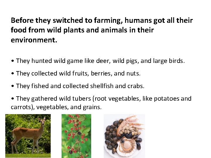 Before they switched to farming, humans got all their food from wild plants and Before they switched to farming, humans got all their food from wild plants and