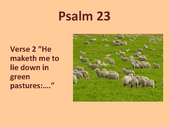 Psalm 23 Verse 2 “He maketh me to lie down in green pastures: ….