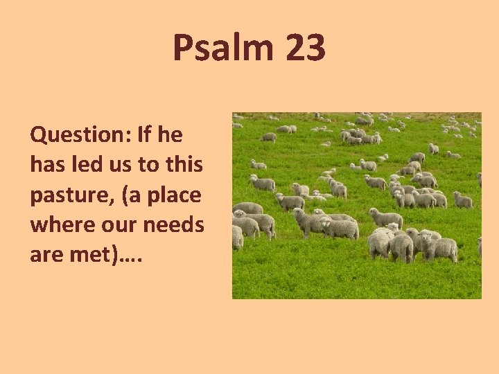 Psalm 23 Question: If he has led us to this pasture, (a place where