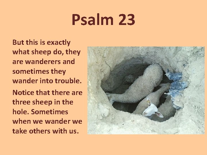 Psalm 23 But this is exactly what sheep do, they are wanderers and sometimes