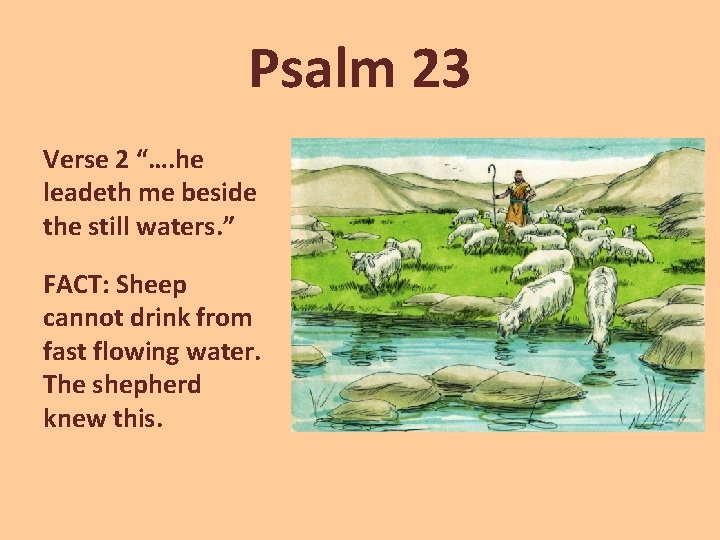 Psalm 23 Verse 2 “…. he leadeth me beside the still waters. ” FACT: