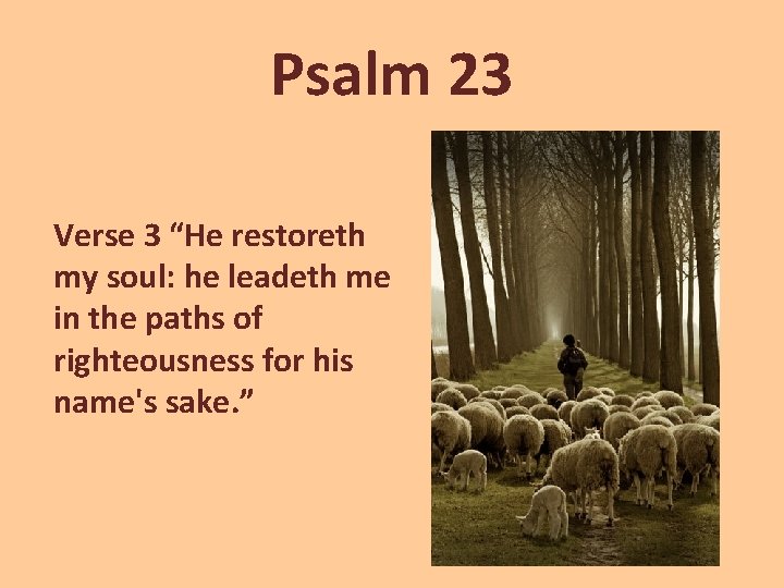 Psalm 23 Verse 3 “He restoreth my soul: he leadeth me in the paths