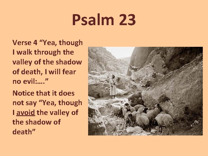 Psalm 23 Verse 4 “Yea, though I walk through the valley of the shadow