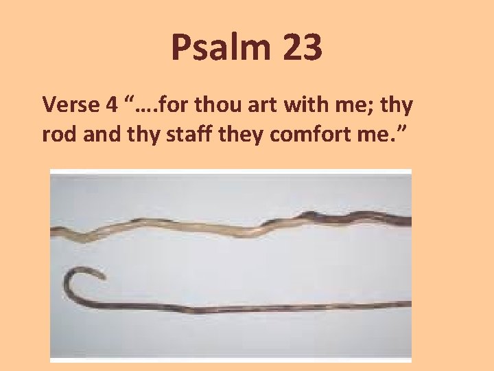 Psalm 23 Verse 4 “…. for thou art with me; thy rod and thy