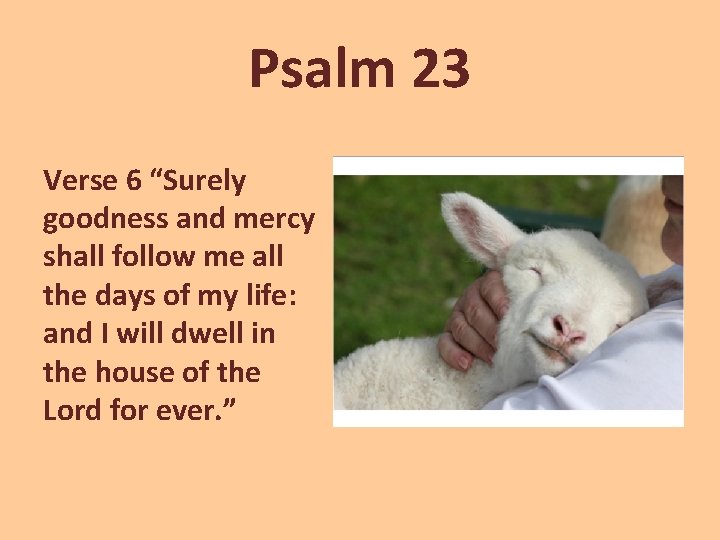 Psalm 23 Verse 6 “Surely goodness and mercy shall follow me all the days