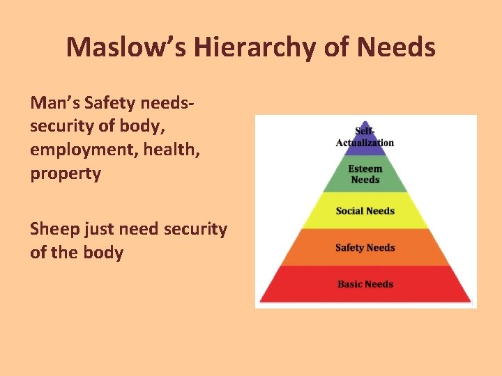 Maslow’s Hierarchy of Needs Man’s Safety needssecurity of body, employment, health, property Sheep just