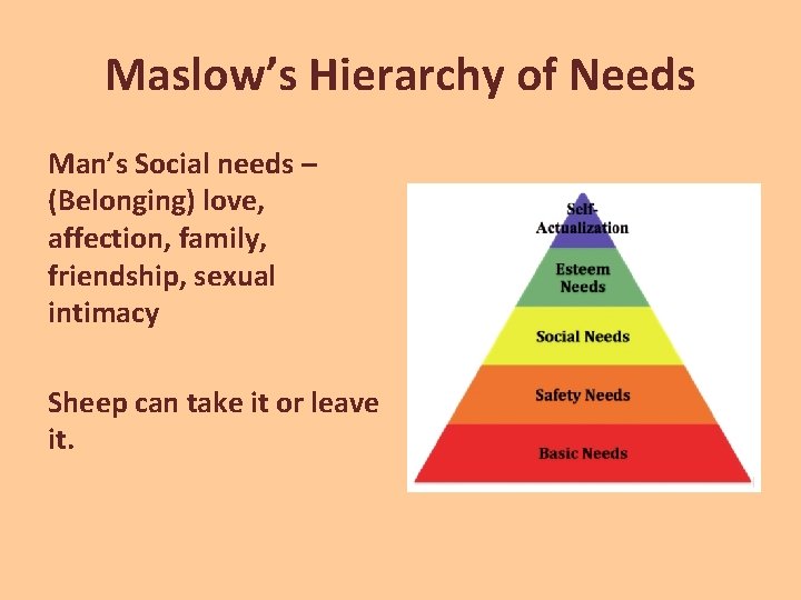 Maslow’s Hierarchy of Needs Man’s Social needs – (Belonging) love, affection, family, friendship, sexual