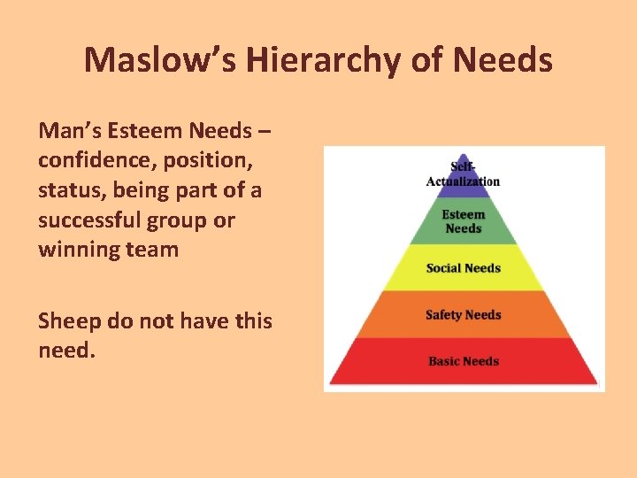 Maslow’s Hierarchy of Needs Man’s Esteem Needs – confidence, position, status, being part of