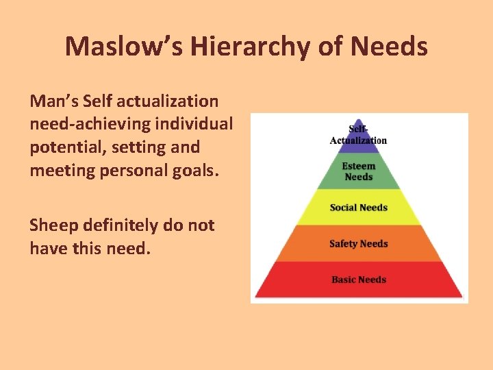 Maslow’s Hierarchy of Needs Man’s Self actualization need-achieving individual potential, setting and meeting personal