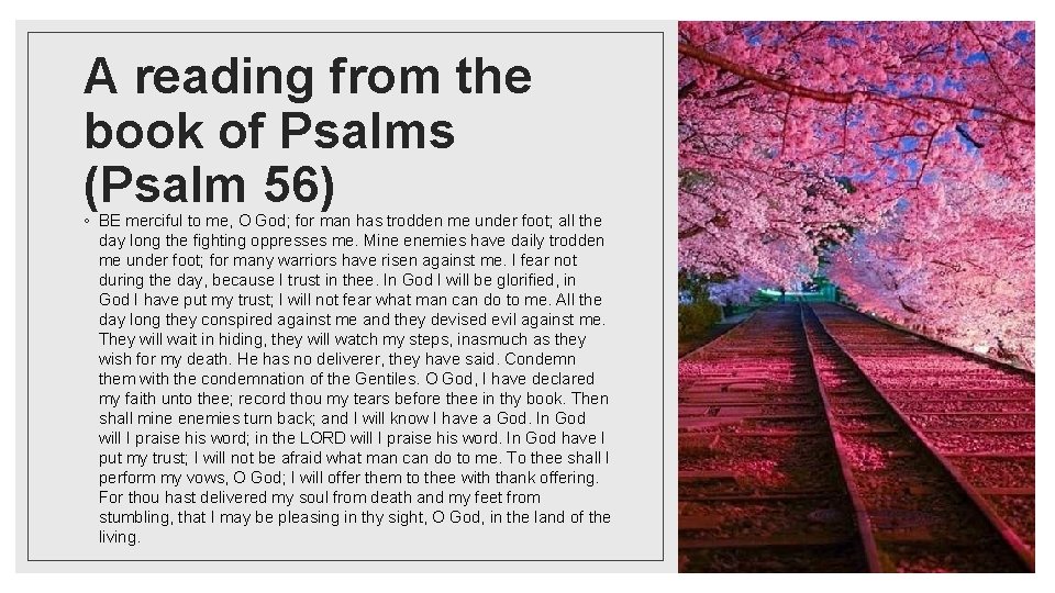 A reading from the book of Psalms (Psalm 56) ◦ BE merciful to me,