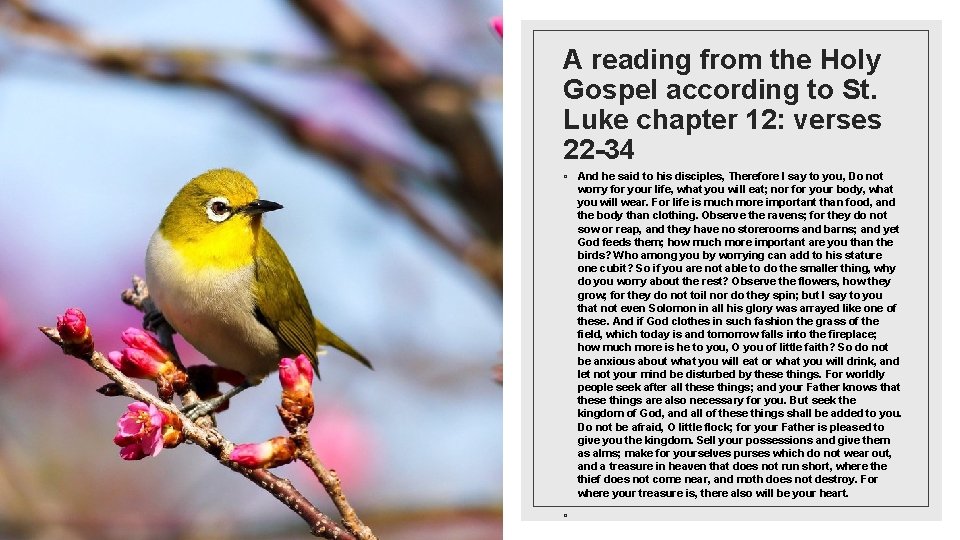 A reading from the Holy Gospel according to St. Luke chapter 12: verses 22