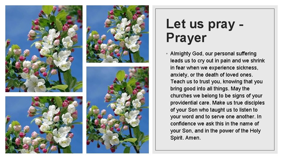 Let us pray Prayer ◦ Almighty God, our personal suffering leads us to cry