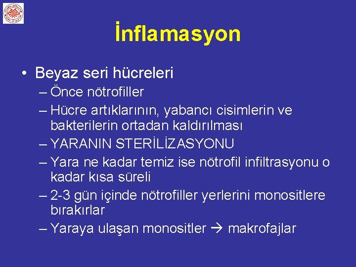 İnflamasyon • Beyaz seri hücreleri – Önce nötrofiller – Hücre artıklarının, yabancı cisimlerin ve