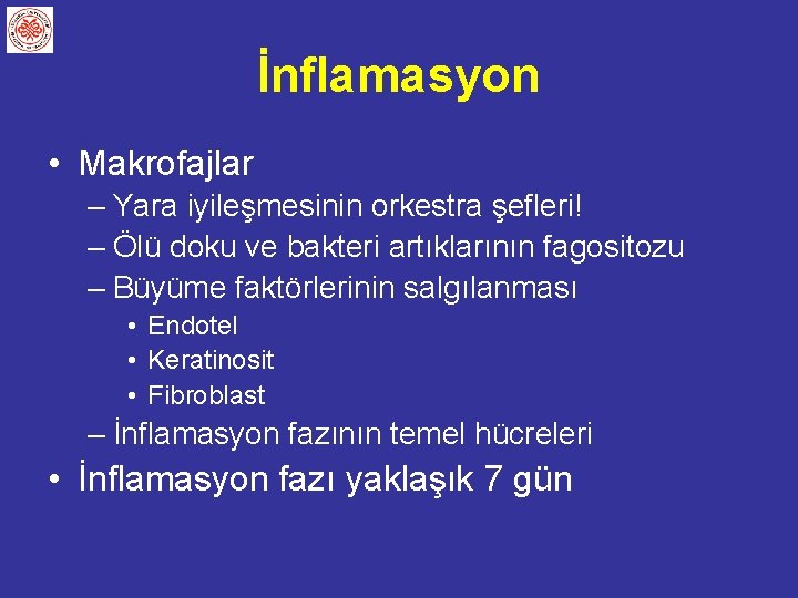 İnflamasyon • Makrofajlar – Yara iyileşmesinin orkestra şefleri! – Ölü doku ve bakteri artıklarının