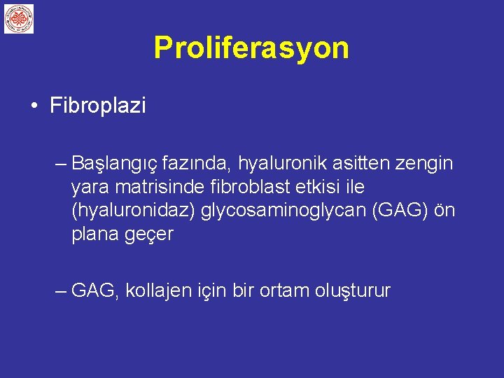 Proliferasyon • Fibroplazi – Başlangıç fazında, hyaluronik asitten zengin yara matrisinde fibroblast etkisi ile