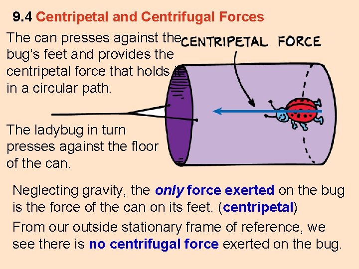 9. 4 Centripetal and Centrifugal Forces The can presses against the bug’s feet and