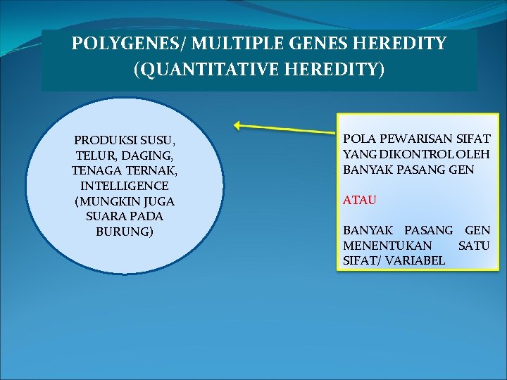 POLYGENES/ MULTIPLE GENES HEREDITY (QUANTITATIVE HEREDITY) PRODUKSI SUSU, TELUR, DAGING, TENAGA TERNAK, INTELLIGENCE (MUNGKIN