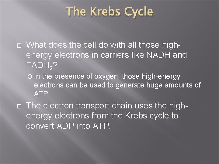 The Krebs Cycle What does the cell do with all those highenergy electrons in