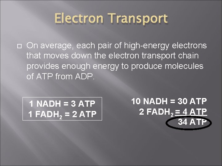 Electron Transport On average, each pair of high-energy electrons that moves down the electron