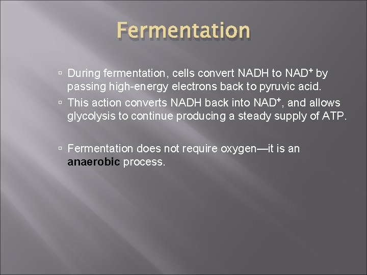 Fermentation During fermentation, cells convert NADH to NAD+ by passing high-energy electrons back to