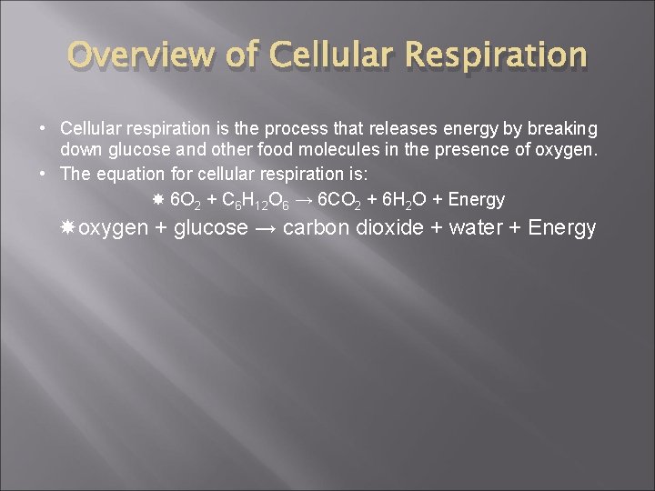 Overview of Cellular Respiration • Cellular respiration is the process that releases energy by