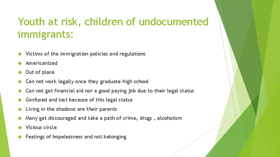 Youth at risk, children of undocumented immigrants: Victims of the immigration policies and regulations
