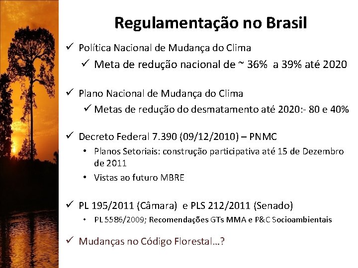 Regulamentação no Brasil ü Política Nacional de Mudança do Clima ü Meta de redução