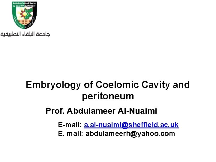 Embryology of Coelomic Cavity and peritoneum Prof. Abdulameer Al-Nuaimi E-mail: a. al-nuaimi@sheffield. ac. uk