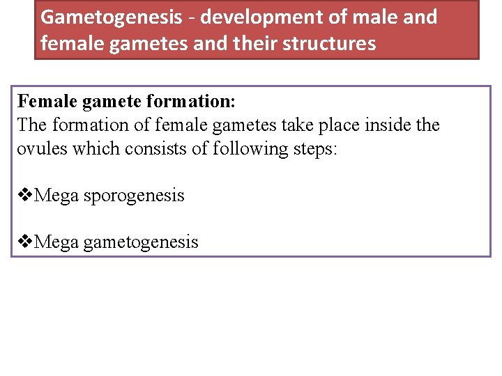 Gametogenesis - development of male and female gametes and their structures Female gamete formation: