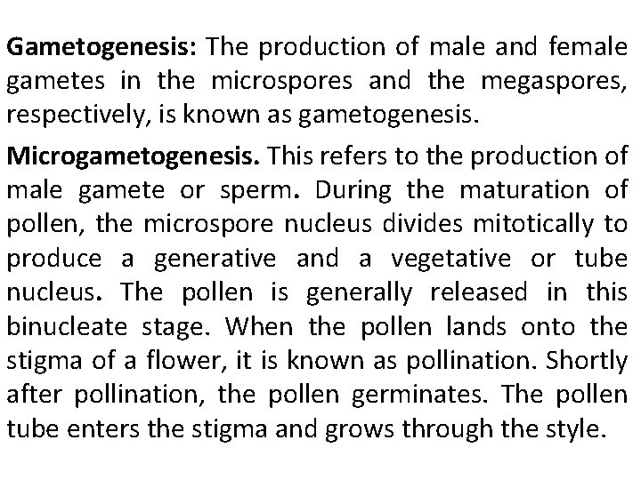 Gametogenesis: The production of male and female gametes in the microspores and the megaspores,